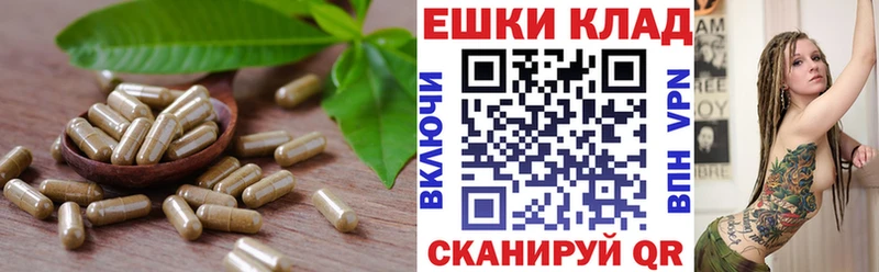 кракен ссылки  как найти наркотики  Вятские Поляны  Ecstasy TESLA 