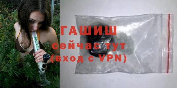 МДПВ Бородино
