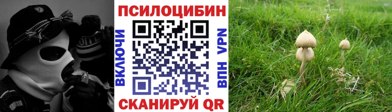 Псилоцибиновые грибы Psilocybine cubensis  ссылка на мегу как зайти  Вятские Поляны  цена наркотик 